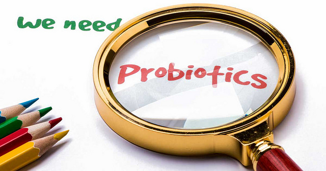 علاج فطريات الأمعاء (داء المبيضات) و الحمية الغذائية الخاصة للقضاء على العدوى
