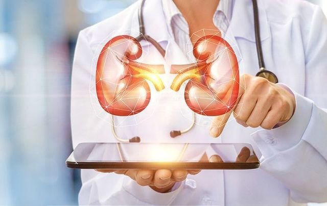 أمراض الكلية المزمنة (الفشل الكلوي) و الخيارات العلاجية المتوفرة